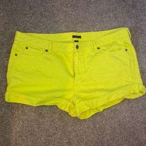 Vibrant shorts